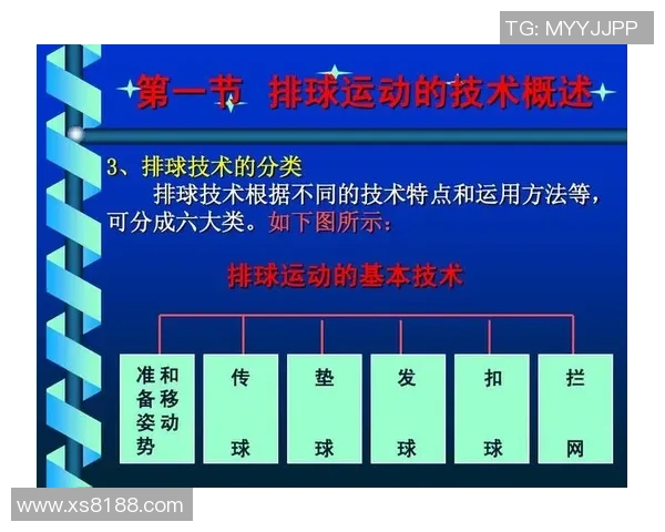 武汉排球队在新赛季中的战术调整与球员表现的得失分析 武汉排球队在新赛季中的战术调整与球员表现的得失分析